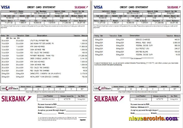 Pakistan Silkbank statement Word and PDF, 2 pages